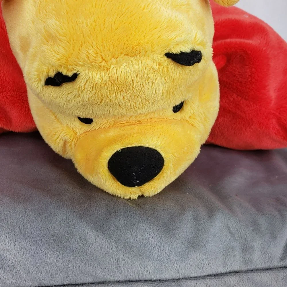 Disney parks winnie
